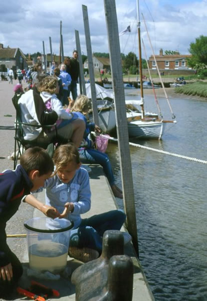 Crabbing_B_fs