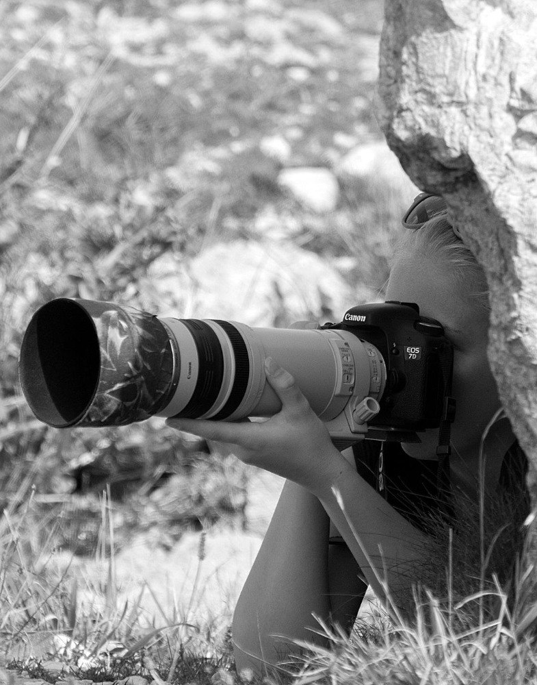 North Norfolk Visitors’ Guide: Birdwatching and Photography