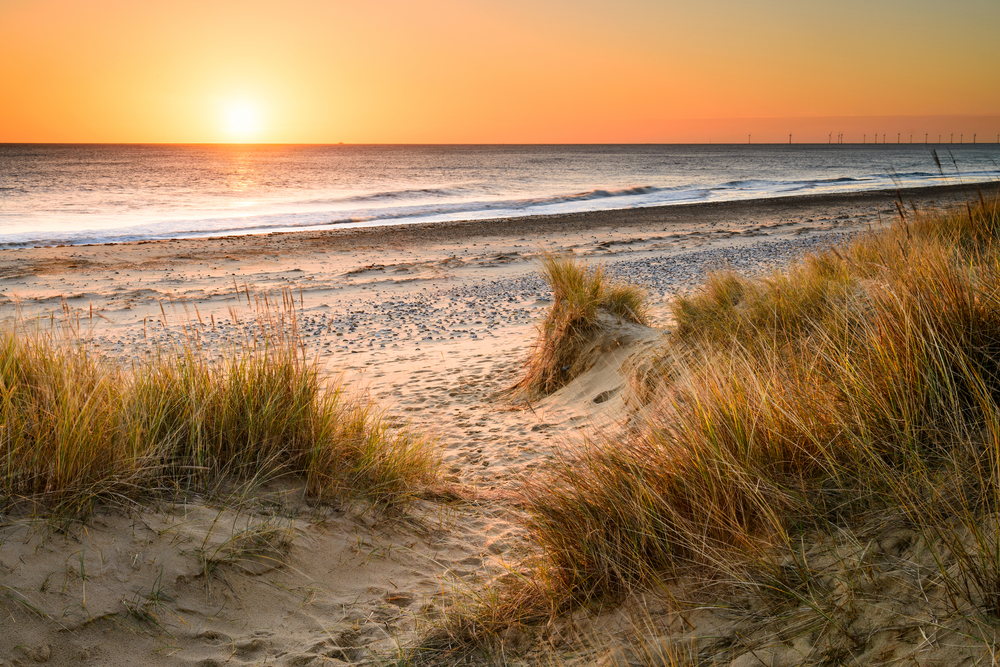 Sunset over a serene beach; golden sunlight reflects on the calm sea. Sandy path through dune grass leads to the water, evoking tranquility.