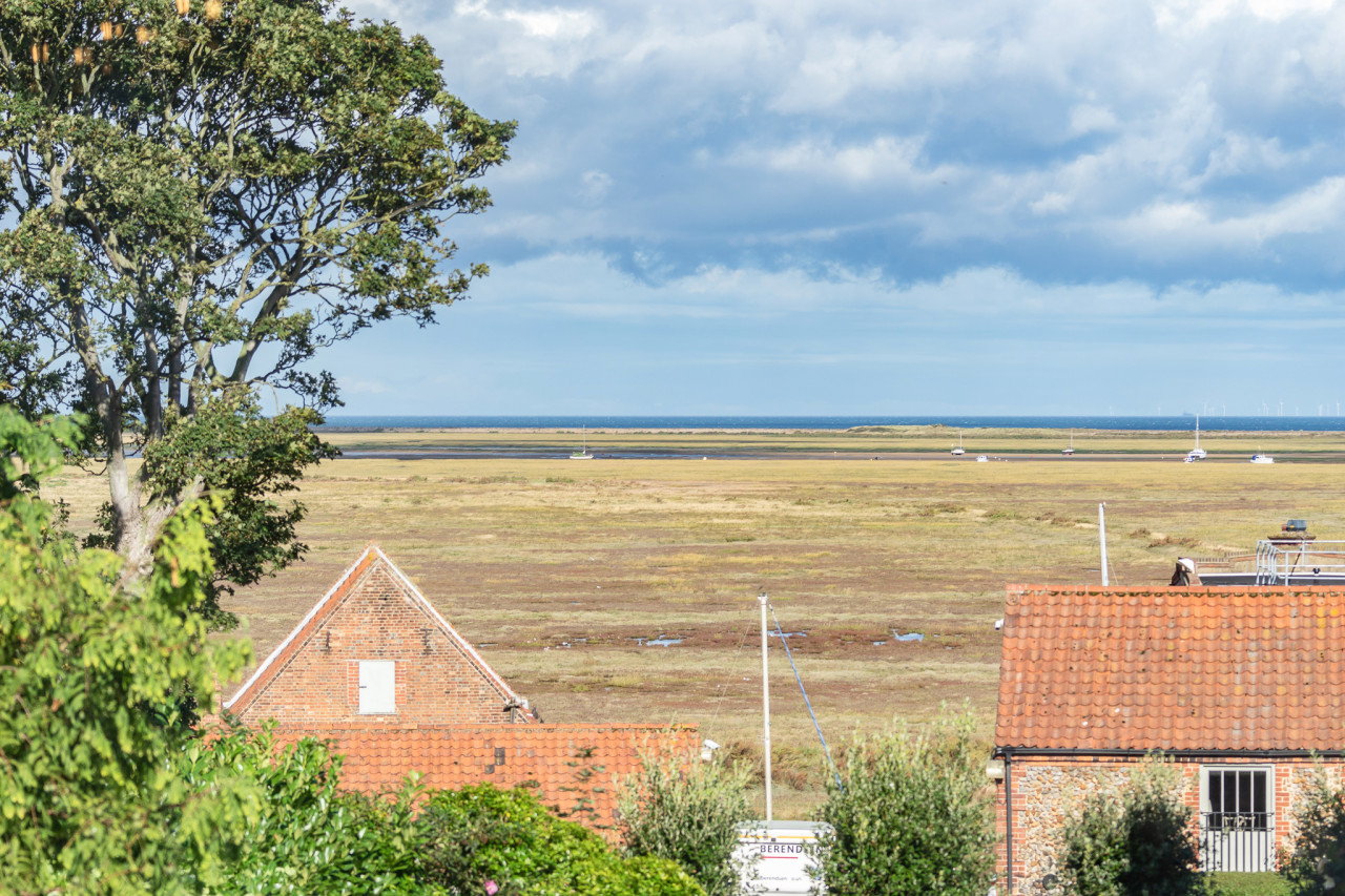 Rural landscape with a large tree and red-roofed house in foreground, vast grassy marshland and distant sea under a cloudy blue sky. Tranquil scene.
