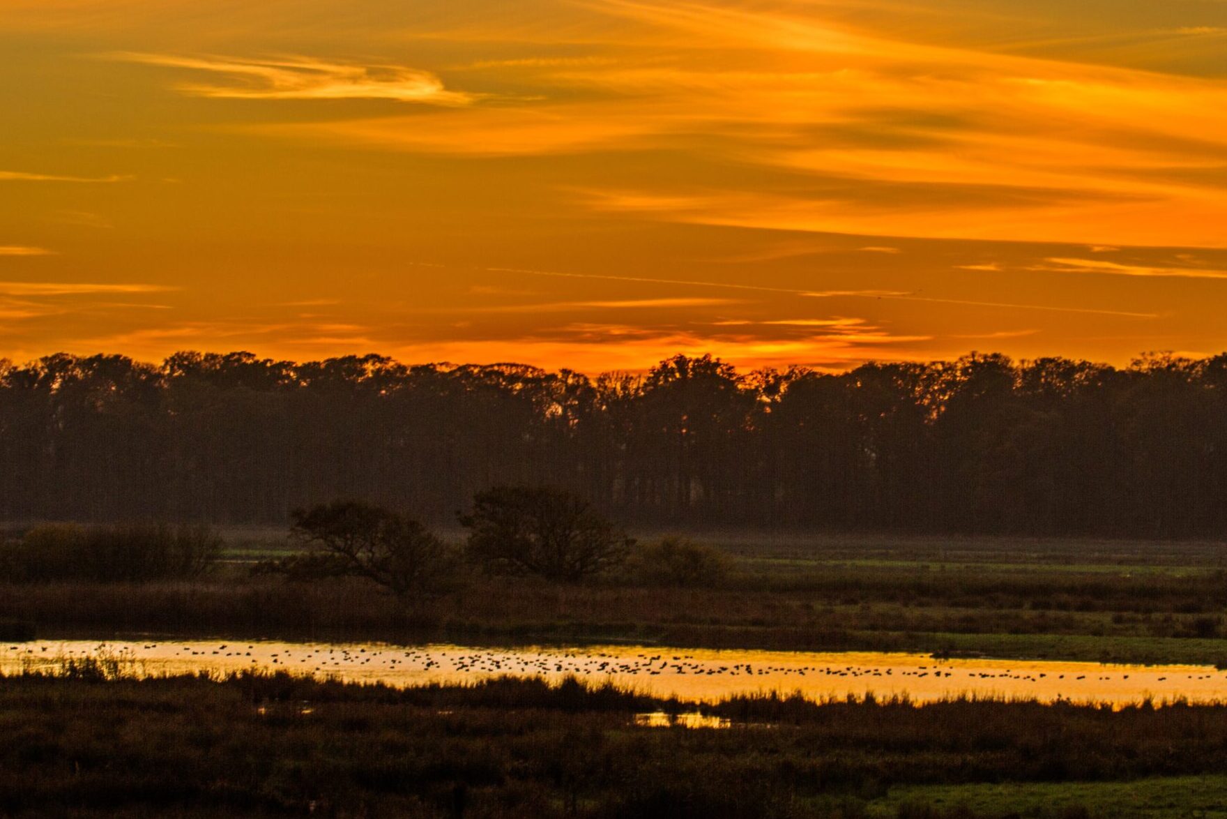 A serene landscape at sunset, featuring a glowing orange and yellow sky above a silhouette of dense trees and a reflective pond in the foreground.